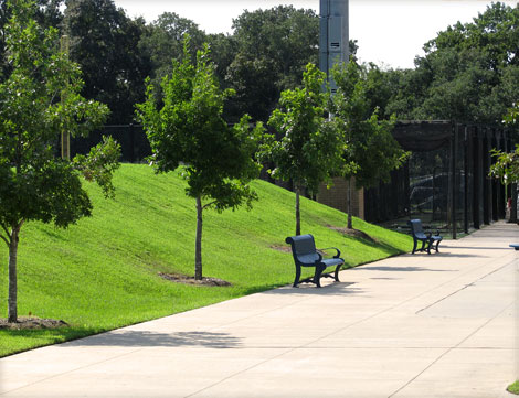 UT Tyler Baseball Complex