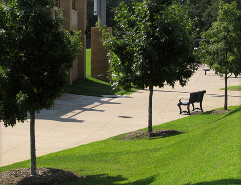 UT Tyler Baseball Complex