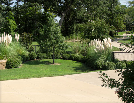 UT Tyler Baseball Complex