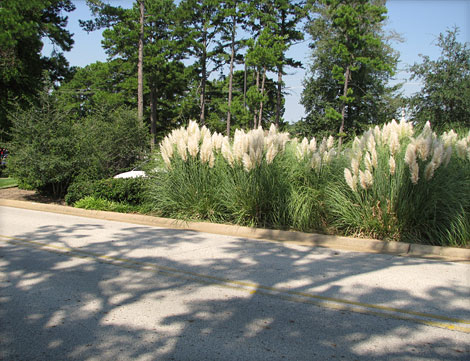 University of Texas at Tyler - Cowan Center
