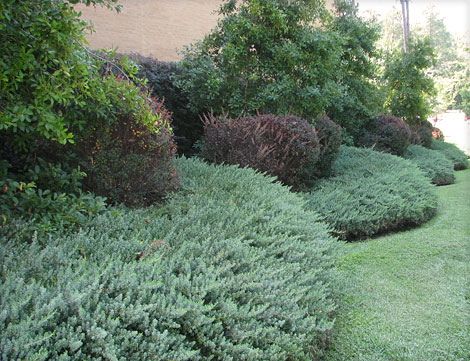 University of Texas at Tyler - Cowan Center