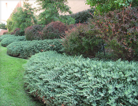 University of Texas at Tyler - Cowan Center